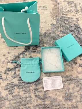 Tiffany & Co. Sterling Silver Heart Charm Necklace with Signature Blue Box Set